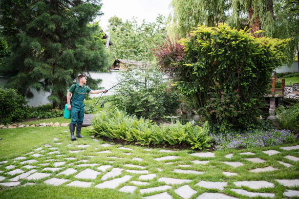 Best Pest Prevention Services  in Holt, MI
