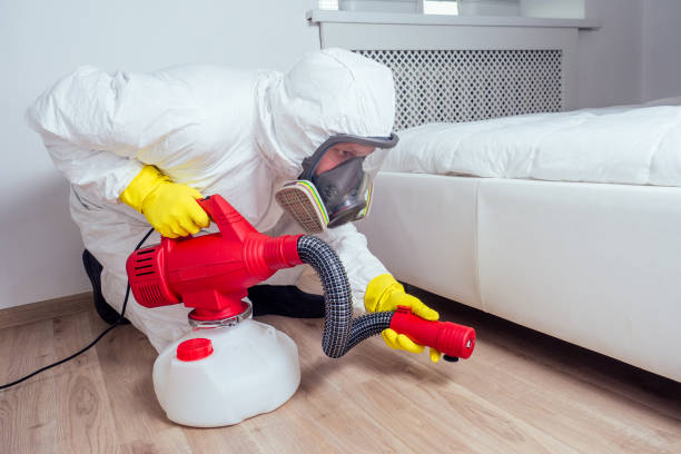 Best Pest Removal Services  in Holt, MI