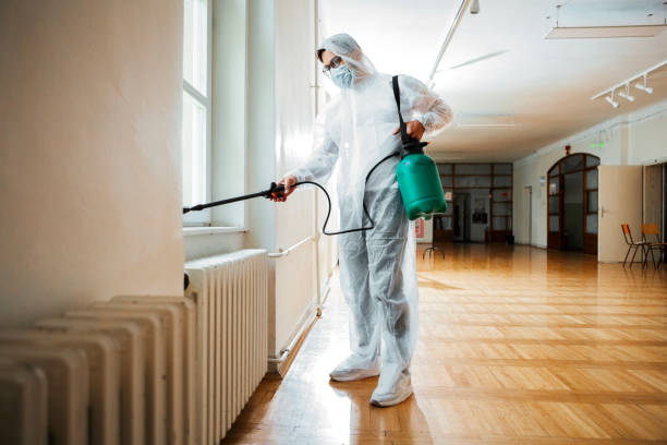 Trusted Holt, MI Pest Control Experts