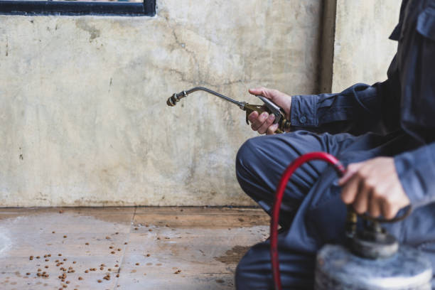 Best Local Pest Control Services  in Holt, MI