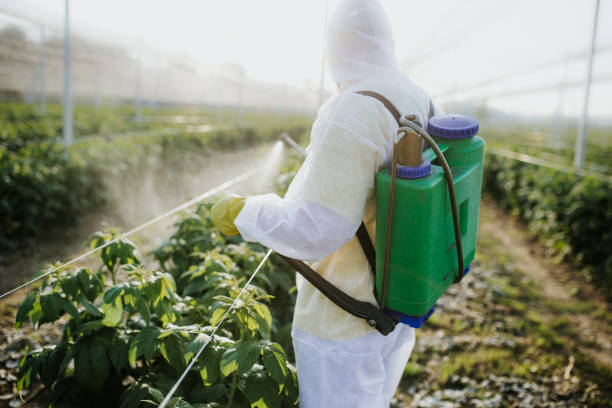 Best Mosquito Control Services  in Holt, MI